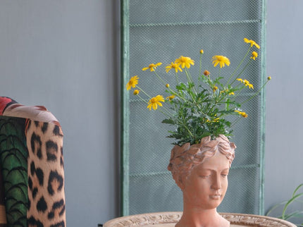 D7X11" Visage Head Bust Planter - Brown
