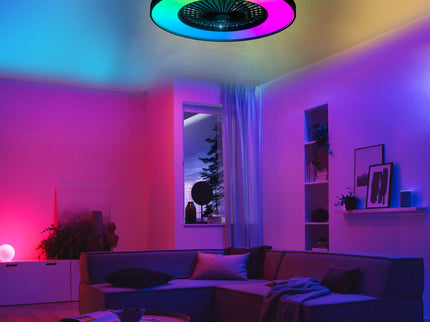 Bedroom Ceiling Fan With Remote Control, Dimmable LED Light, 8 Blades, Reversible Dc Motor - Black