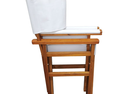 Folding Director Chair