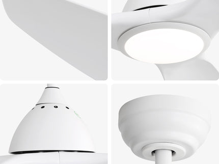 Bredoom Ceiling Fan With Remote Control And LED Light, Blades, Reversible DC Motor For Indoor / Outdoor Use