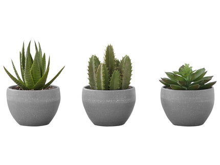 Artificial Succulent Plants (Set of 3)