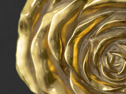 Rose Hanging Wall Accents (Set of 2) - Gold