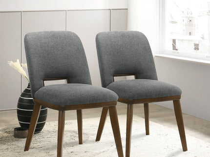 Blake - Modern Dining Chair (Set of 2)