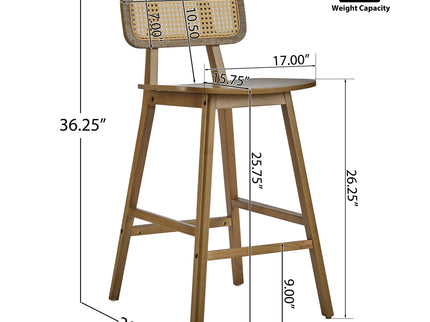 Bari - Indoor Wood Barstool (Set of 2)