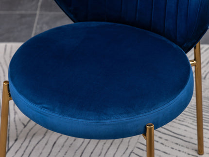 Amoa - Contemporary Velvet Upholstery Dining Chair - Blue