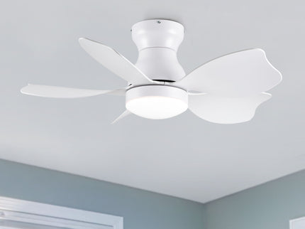 Low Profile Flush Mount Ceiling Fan With Light