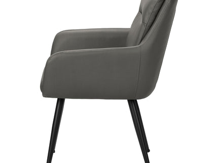 Dining Chair Kitchen & Dining Room Furniture (Set of 2)