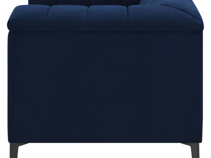Darci - Accent Armchair With Seating And Tapered Legs - Blue