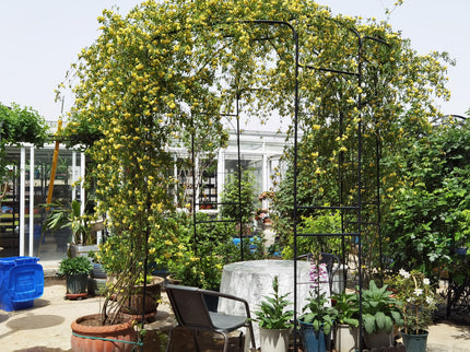 Metal Garden Arch Iron Garden Arbors Gazebo Dia High Birdcage Shape Pergola Pavilion For Wedding Ceremony
