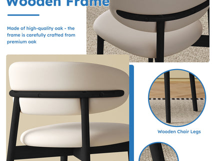 Mid-Century Modern Dining Chair (Set of 2)