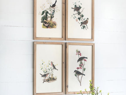 Bird Framed Print (Set of 4) - Multicolor