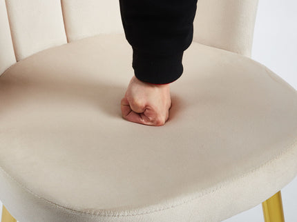 Ergonomic Dining Chair (Set of 2)