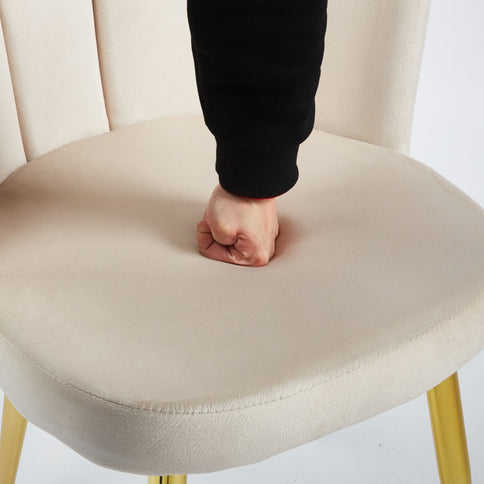 Ergonomic Dining Chair (Set of 2)