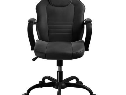 Gaming And Office Chair With Padded Arms, Adjustable Height