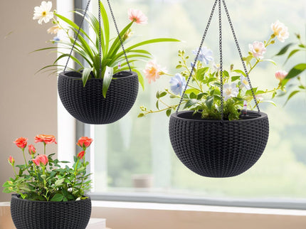 Self Watering Hanging Planter