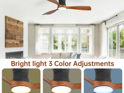48" Ceiling Fan With Light, Dimmable LED With Memory, Quiet DC Motor - Matte Black
