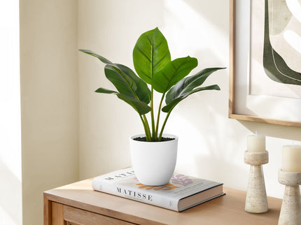 17" Tall, Artificial Plant, Aureum, Indoor, Faux, Fake, Table, Greenery, Potted, Real Touch, Decorative - Green / White