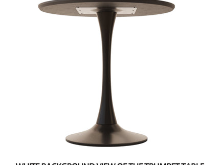 Round Dining Table Set With Tulip Design And 2 Chairs