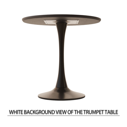 Round Dining Table Set With Tulip Design And 2 Chairs