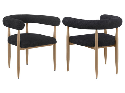 Crofton - Upholstered Dining Arm Chair (Set of 2) - Black