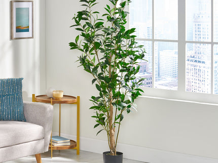 Artificial Laurel Tree