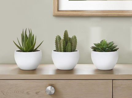 Artificial Succulent Plants (Set of 3)