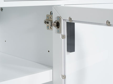Modern TV Console & Adjustable Shelves