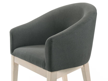 Neroli - Barrel Accent Chair (Set of 2) - Gray