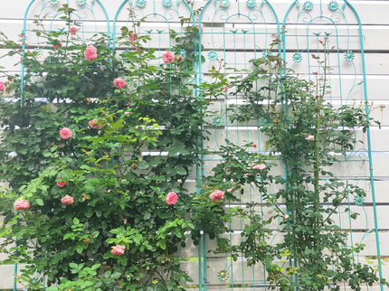 Metal Garden Trellis Rustproof Trellis For Climbing Plant Outdoor Flower Support