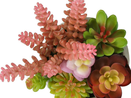 Artificial Succulent, Table Decor (Set of 2) - Green / Gray - Plastic