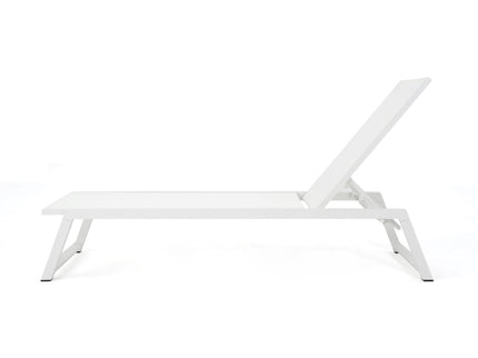 Myers - Modern Chaise Lounge Set With Adjustable Back