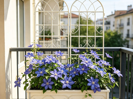 Metal Garden Rustproof Trellis For Climbing Plants Outdoor Flower Support