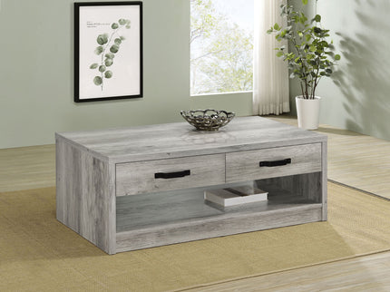 Nuberg - 2 Drawer Coffee Table Rectangular Design - Gray