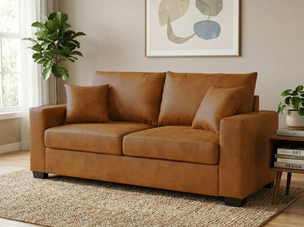 2 Seater Sofa, 2 Throw Pillows For Living Room