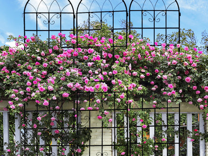 Metal Garden Rustproof Trellis For Climbing Plants Outdoor Flower Support
