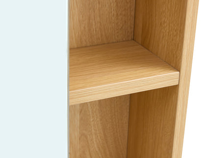 Bathroom Mirror Medicine Cabinet Wall Mounted With Shelves
