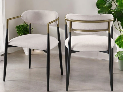 Jaramillo - Contemporary Side Chair (Set of 2)