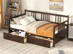 Dark Brown / Twin / 2 Drawers