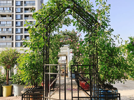 Garden Arch With Gate With Planter, Climbing Plants Support Outdoor - Black