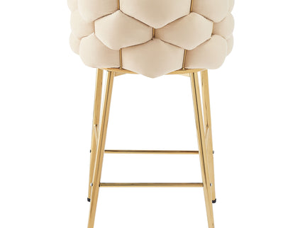 Modern Counter Stools (Set of 2)