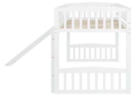 Loft Bed With Slide And Ladder