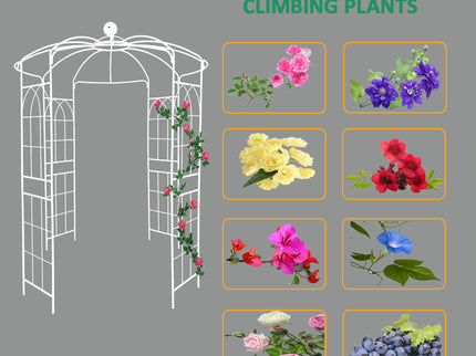 Metal Garden Arch Iron Garden Arbors Gazebo Dia High Birdcage Shape Pergola Pavilion For Wedding Ceremony