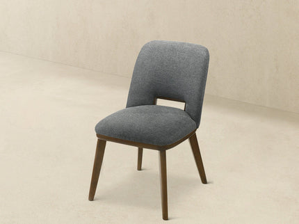 Blake - Modern Dining Chair (Set of 2)