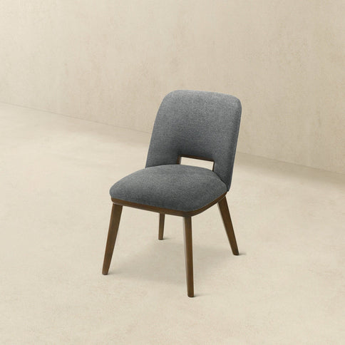 Blake - Modern Dining Chair (Set of 2)