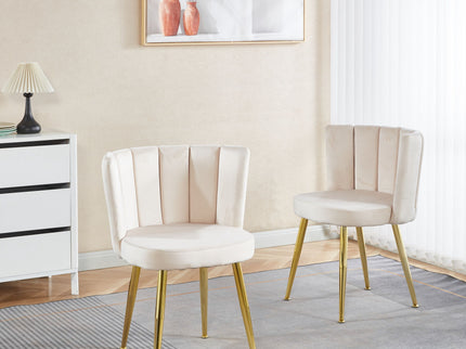 Ergonomic Dining Chair (Set of 2)