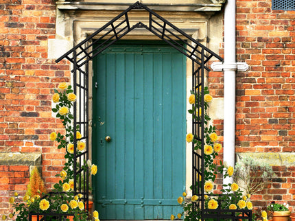 Garden Arch With Adjustable & Climbing Plants Support - Black