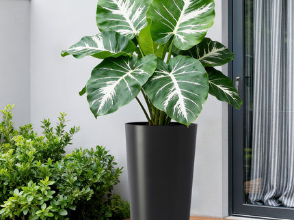Planter For Outdoor