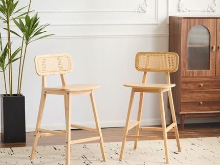 Bari - Indoor Wood Barstool (Set of 2)