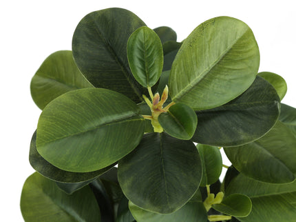 14" Tall, Artificial Plant, Ficus, Indoor, Faux, Fake, Table, Greenery, Potted, Decorative (Set of 2) - Green / Black