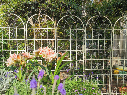 Metal Garden Rustproof Trellis For Climbing Plants Outdoor Flower Support